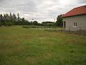 IMGP2551